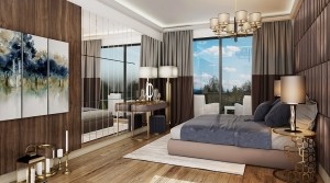 العيش الفاخر بالقرب من الغابات في مدينة سيكموي