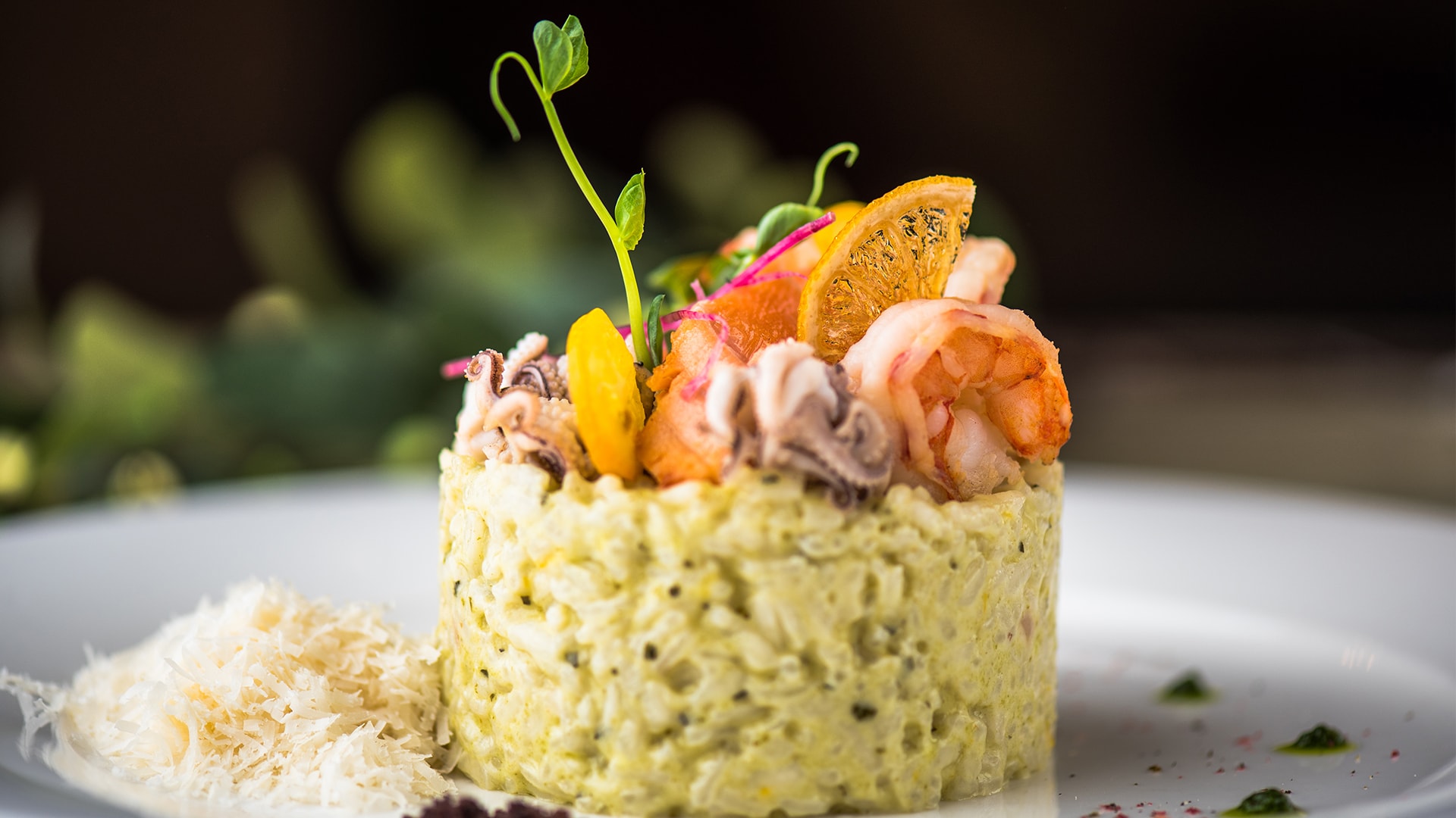 OCTOPUS RICE (Ahtapotlu pilav)